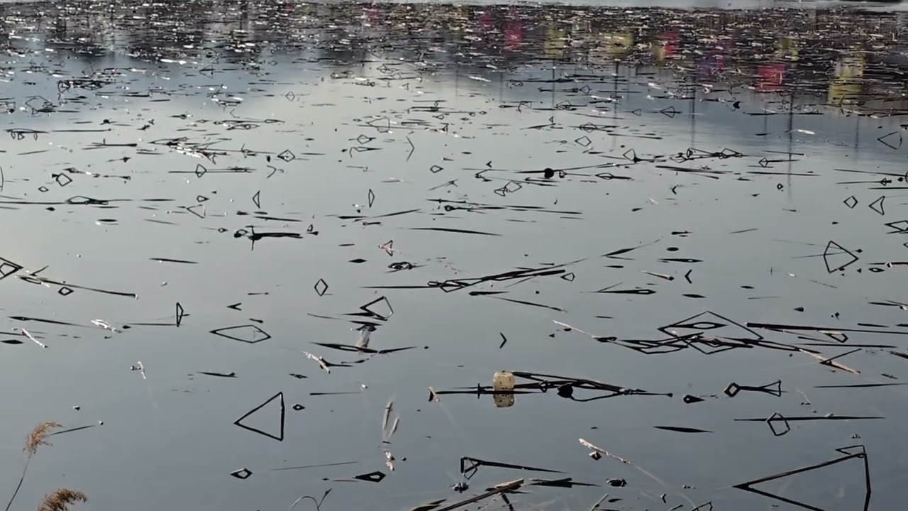 세미원 배다리 20260221