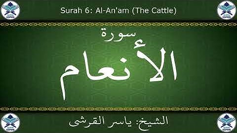القرآن الكريم بصوت ياسر القرشي - سورة الأنعام