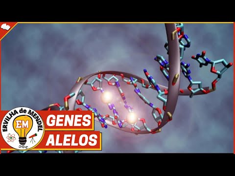 Genes Alelos | Alelos dominantes e recessivos | O que são alelos ?