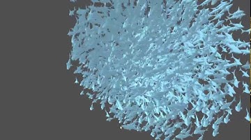 Fish Flock - GPU Flocking 2000 fishes