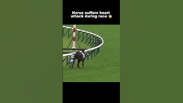 The horse had a heart attack 💔 #shorts #edit #riding