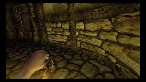 Amnesia Collection Wine cellar