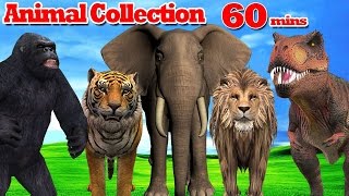 Finger Family Rhymes Animal Cartoons for Children - King Kong Dinosaurs Nursery Rhymes Collection