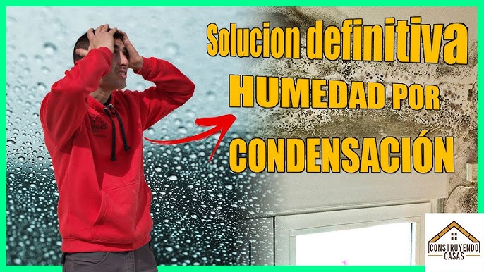 Acuasec  ¿Los deshumidificadores eliminan la humedad?