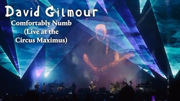 David Gilmour - Comfortably Numb (Live at the Circus Maximus, Rome)