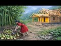 120 Days Harvesting Many Wild Bamboo Shoots Goes To Market Sell | Lý Tiểu Lan