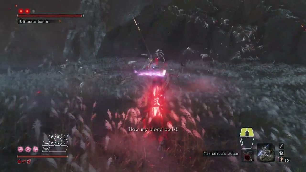 Ultimate Isshin Revisited | Shadowrush + Shuriken | CL/BD