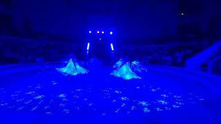 Танец со светодиодными крыльями в Империи львиц #шоусозвездие