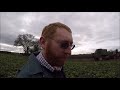 February fodder beet harvest.