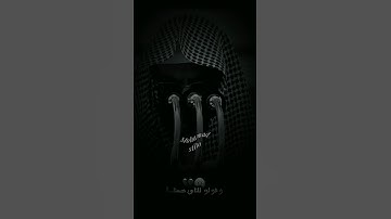 #reels #القران_الكريم #shortvideo #سورة_القصص #quran #خالد_الجليل @Quran_nor