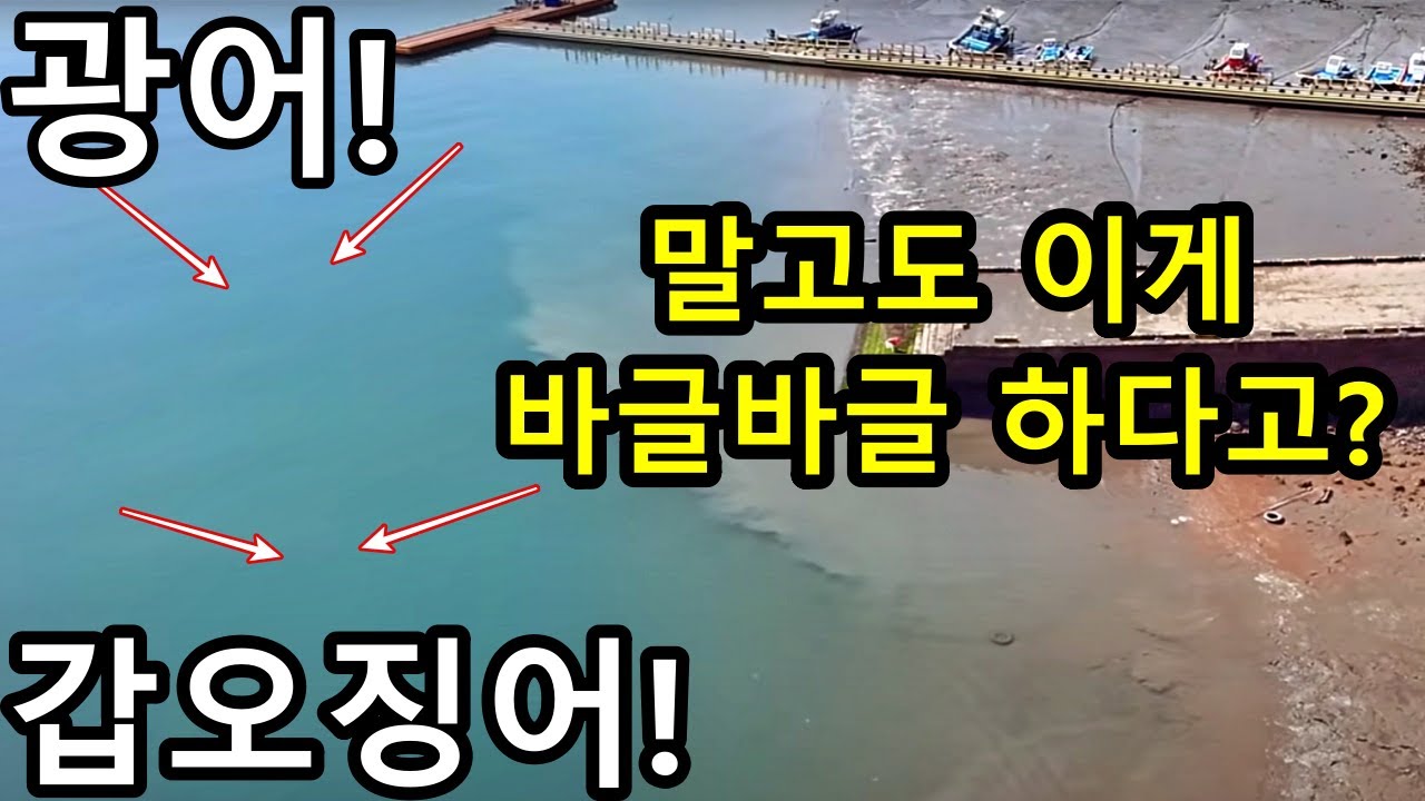 광어 갑오징어 낚시 포인트에서 이걸? 마구 주워 담을 수 있다고?