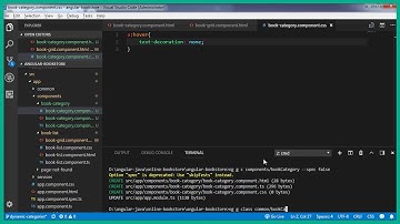 Angular 8 and Spring Boot Part 46   Create model class for category using Angular CLI 2020 05 15 06