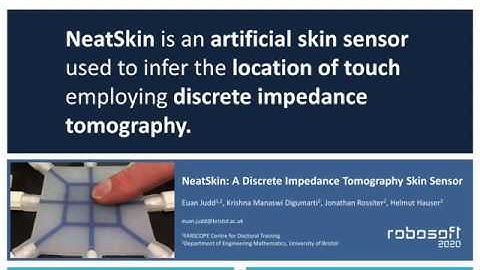 NeatSkin Presentation (short version) for the Eastern European Machine Learning Summer School