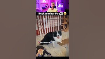 TRY NOT TO LAUGH CHALLENGE 😂 | Wait For End | PPLT PT23