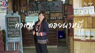 The Way To Success EP. 12 : กาแฟดอยผาหมี
