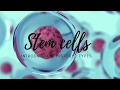 Stem Cells- Introduction ,History and Types
