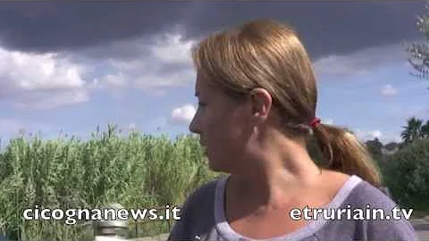 Quando è morto Giuliano Gemma e come è morto?