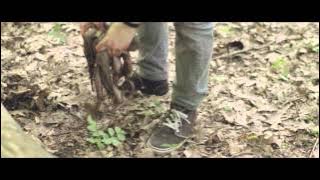 Job for a Cowboy 'Tarnished Gluttony' ( VIDEO)