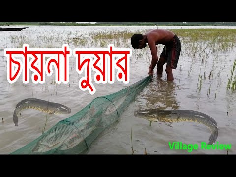 ভিডিও: শীতকালীন ব্রেম ফিশিং: জানুন এবং সক্ষম হবেন! অংশ ২