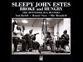 Sleepy John Estes, Olie blues