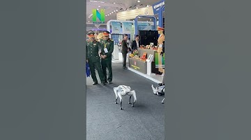 VN đã sản xuất được đặc vụ chó robot quá đỉnh