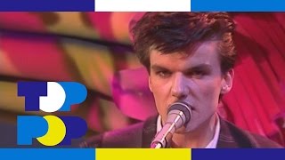 Video thumbnail of "The Blow Monkeys - Digging Your Scene • TopPop"