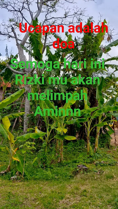 perbanyak sholawat .Allohuma sholliala mohamad #ustadzadihidayatofficial