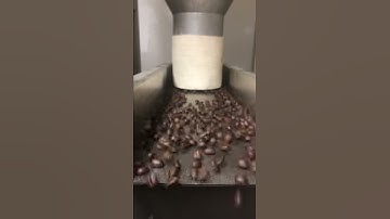 Taylor TE-10 Coffee weigh scale