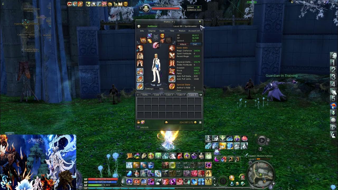 Custom skills