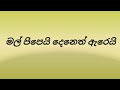 mal pipei  මල් පිපෙයි #sinhala songs #lyrics