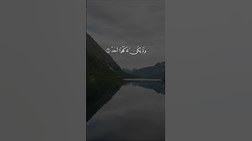 القارئ سالم الرويلي - سورة الإخلاص | مقاطع قرآن قصيرة وحالات واتس إسلامية 🌱