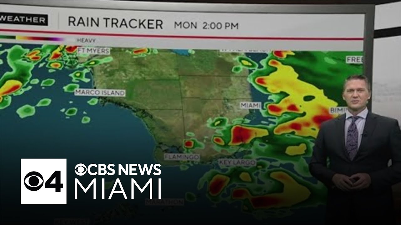 South Florida remains under NEXT Weather Alert, more heavy rain ...