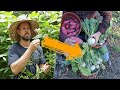 7 Easy Ways to Turn Weeds into Free Fertilizer (Complete Demonstration)