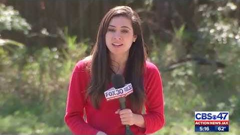 Push for Daylight saving time year round