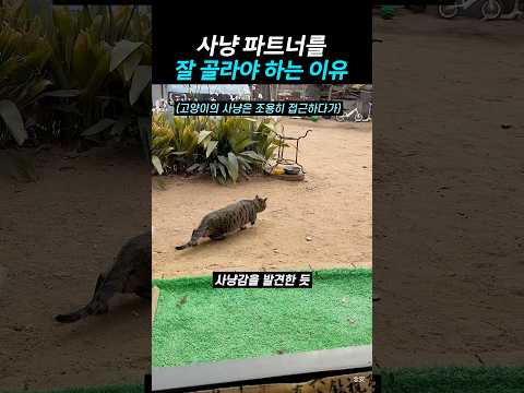 사냥 파트너를 잘 <strong>골라야</strong> 하는 이유