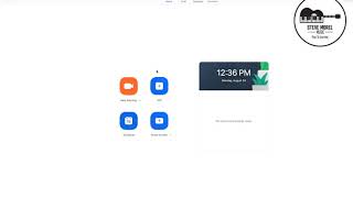 Zoom Audio Settings for Music screenshot 5
