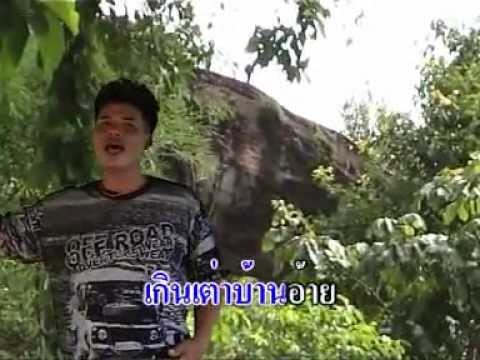 เต่างอย งอยเต่า