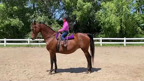 WDAA Online International Challenge 2021 - Kaitlyn...