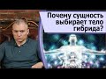 Почему сущность выбирает гибридное тело?