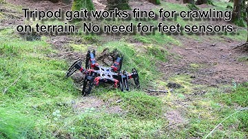 PhantomX terrain walking