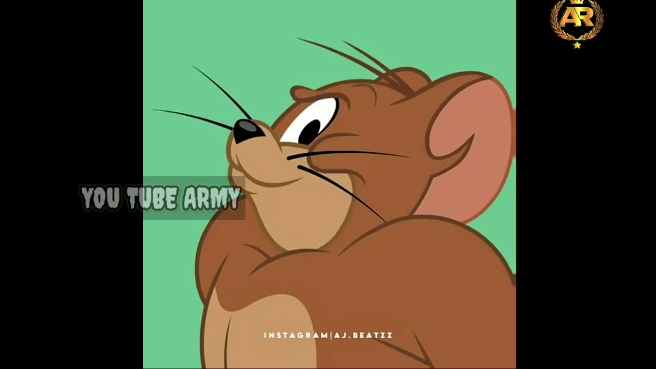 tom and jerry fight over food fight over milk bowl tom and jerry fight over food fight over milk bowl