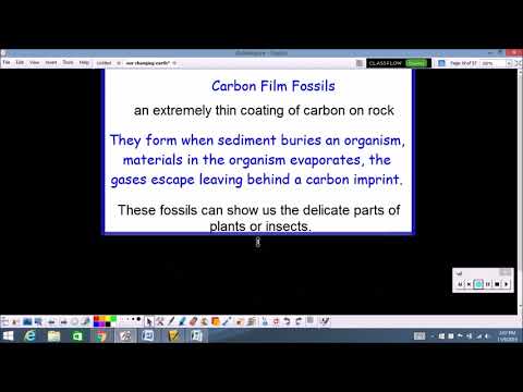koolstoffilm fossiele informatie