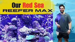 Our Red Sea Reefer Max!!
