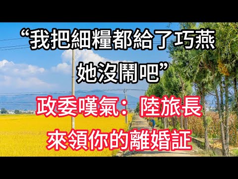 我把細糧都給了巧燕 她沒鬧吧 政委嘆氣 陸旅長 來領你的離婚証