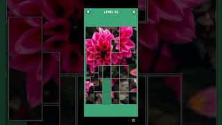 🧩 Puzzle Game Level 51 | Brain Teaser Challenge Solved! 🎯