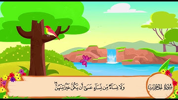 سورة الحجرات من الآيه ١٠الي١١