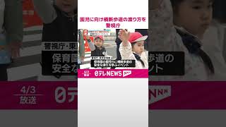 【保育園児に向けイベント】騎馬隊に白バイ・パトカーも  安全な横断歩道の渡り方を…  警視庁  #shorts