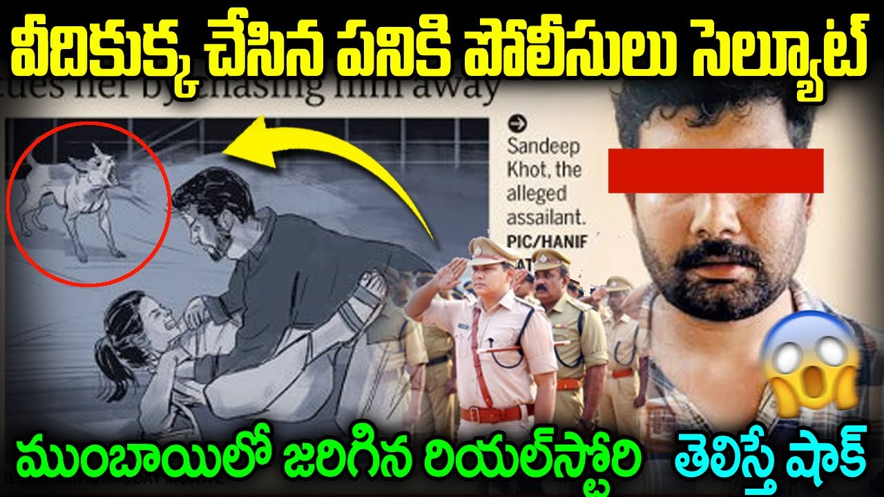 వీధికుక్క చేసిన పనికి  ముంబై పోలీసులే సెల్యూట్.  Mumbai Police Salute  to Street Dog Real Story JMT