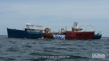 Artificial Reefs in Georgia
