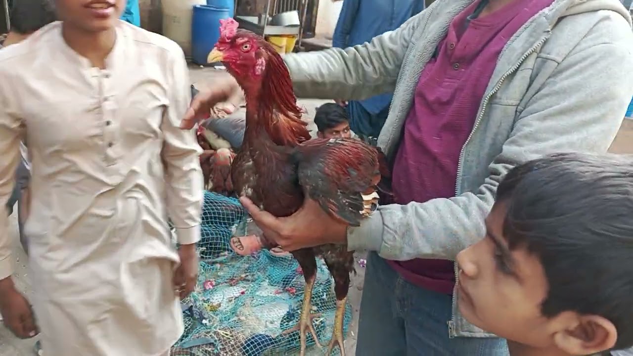 For you ❤️❤️ you haven't already 